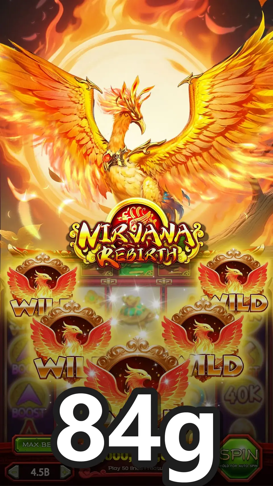 84g Login